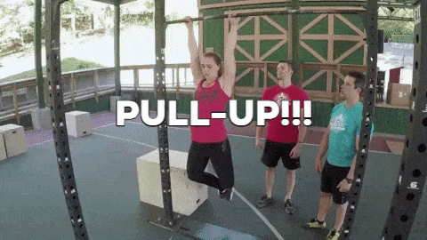 Here's a gif of a pull-up in perfect form.
