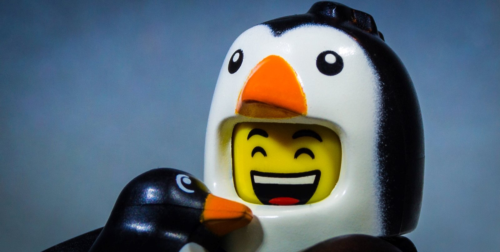 A LEGO penguin