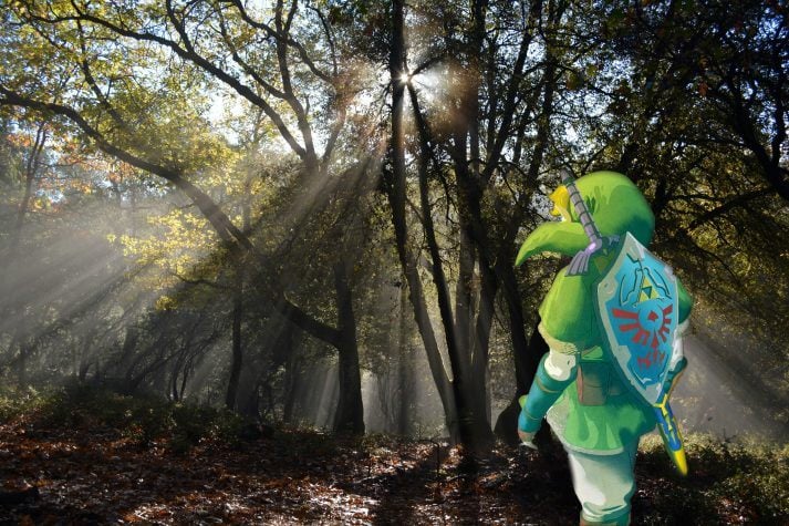 A picture of Link in the sun, who overcame SAD