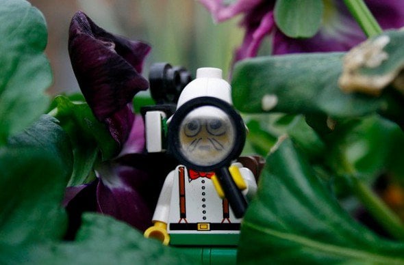 This LEGO explorer is on the hunt for Paleo Meals and Recipes