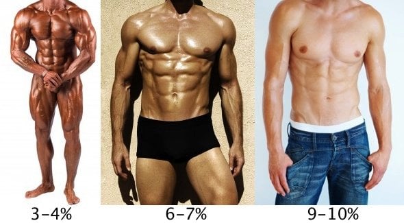 This picture shows different body fat %. 