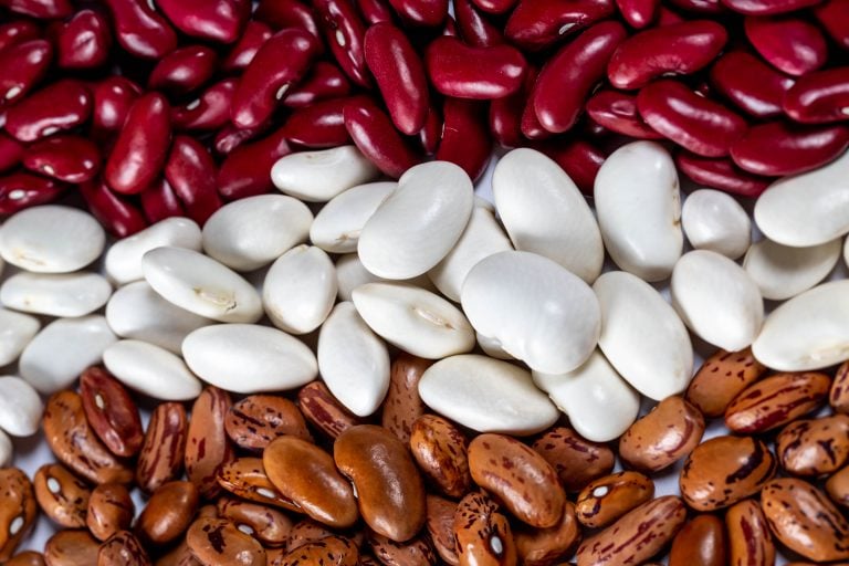 Beans are a great source of protein for a plant-based diet.