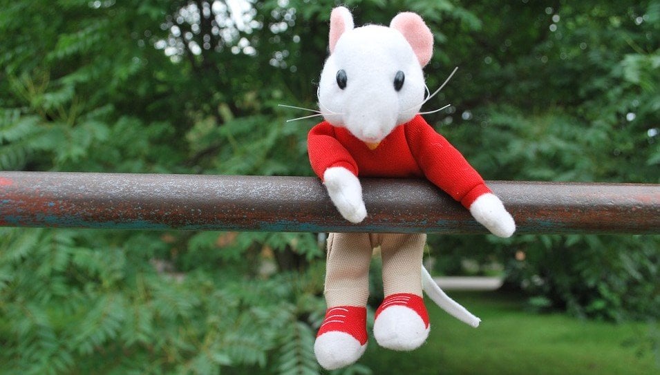 This is a picture of a mouse hanging, who is trying to get his pull-up alternative.